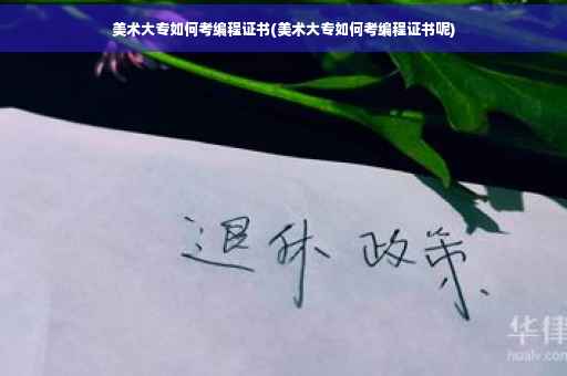 美术大专如何考编程证书(美术大专如何考编程证书呢)