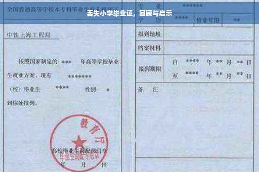 丢失小学毕业证，回顾与启示