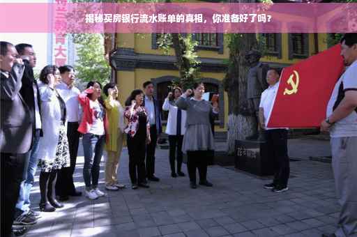 揭秘买房银行流水账单的真相，你准备好了吗？