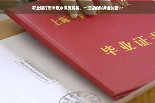 农业银行账单流水深度解析，一览您的财务全景图??