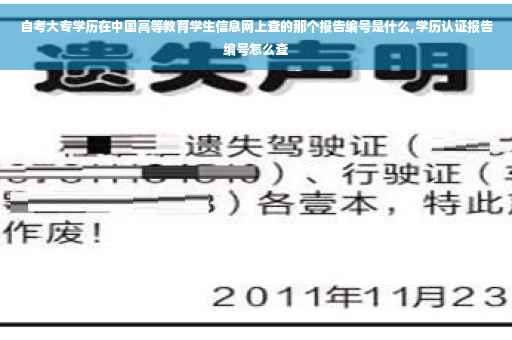 自考大专学历在中国高等教育学生信息网上查的那个报告编号是什么,学历认证报告编号怎么查