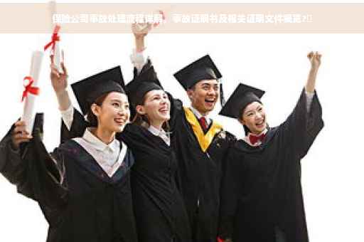 保险公司事故处理流程详解，事故证明书及相关证明文件概览?✨