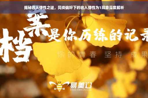 揭秘收入弹性之谜，同类偏好下的收入弹性为1现象深度解析