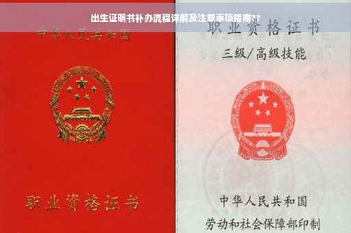 出生证明书补办流程详解及注意事项指南??