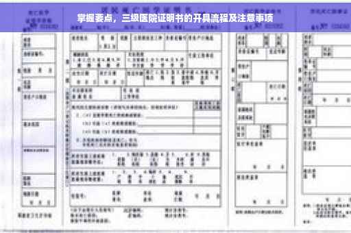 掌握要点，三级医院证明书的开具流程及注意事项