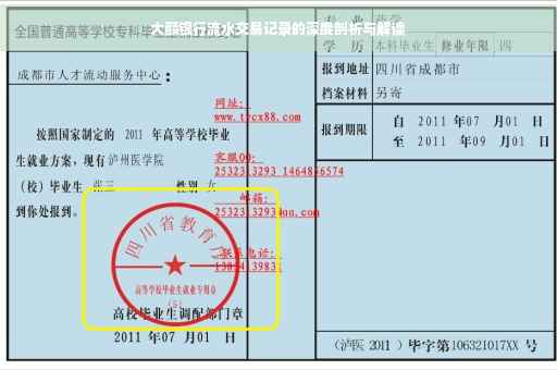 大额银行流水交易记录的深度剖析与解读