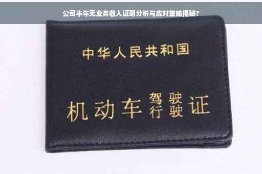 公司半年无业务收入证明分析与应对策略揭秘?