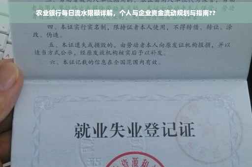 农业银行每日流水限额详解，个人与企业资金流动规划与指南??