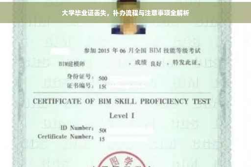 大学毕业证丢失，补办流程与注意事项全解析