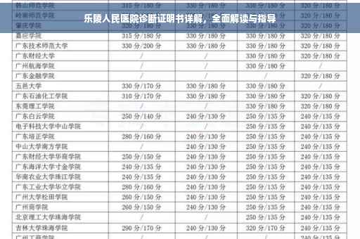 乐陵人民医院诊断证明书详解，全面解读与指导