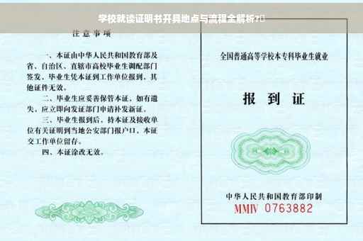 学校就读证明书开具地点与流程全解析?✨
