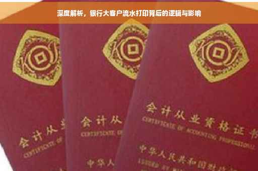 深度解析，银行大客户流水打印背后的逻辑与影响