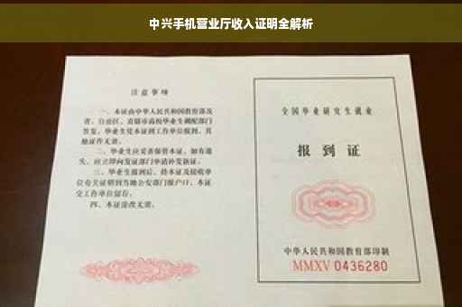 中兴手机营业厅收入证明全解析