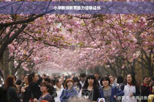 小学教师教育能力证明证书