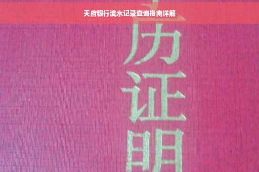 天府银行流水记录查询指南详解