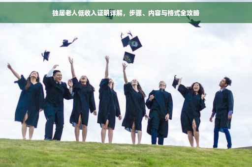 独居老人低收入证明详解，步骤、内容与格式全攻略