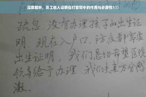 深度解析，员工收入证明在打官司中的作用与必要性?⚡️