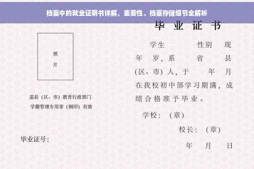 档案中的就业证明书详解，重要性、档案存储细节全解析