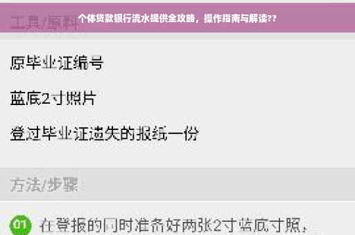 个体贷款银行流水提供全攻略，操作指南与解读??
