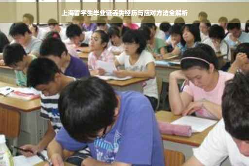 上海留学生毕业证丢失经历与应对方法全解析