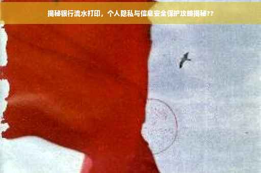 揭秘银行流水打印，个人隐私与信息安全保护攻略揭秘??
