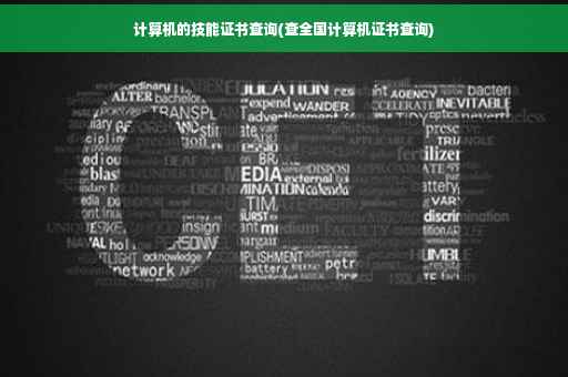 计算机的技能证书查询(查全国计算机证书查询)