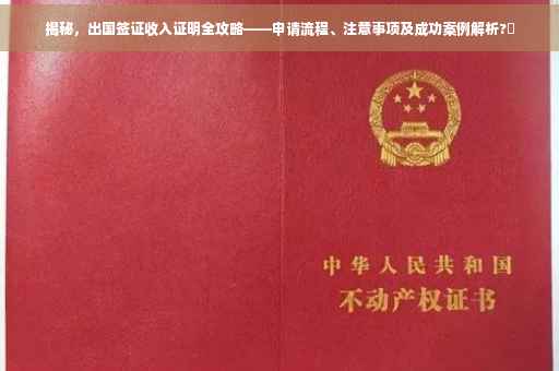 揭秘，出国签证收入证明全攻略——申请流程、注意事项及成功案例解析?✨