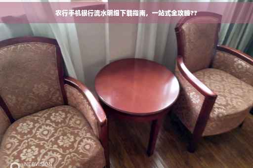 农行手机银行流水明细下载指南，一站式全攻略??