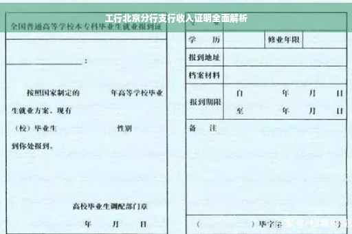 工行北京分行支行收入证明全面解析