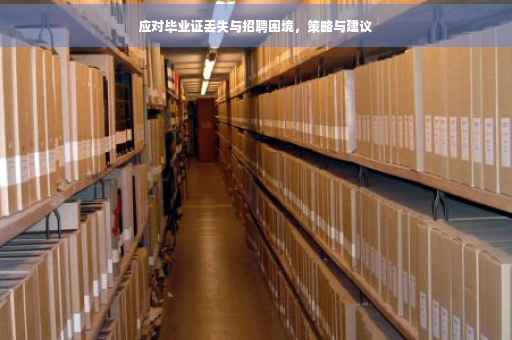 应对毕业证丢失与招聘困境，策略与建议