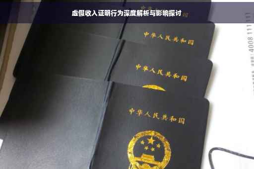 虚假收入证明行为深度解析与影响探讨