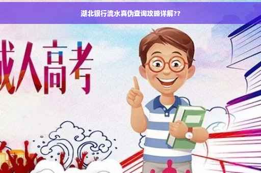 湖北银行流水真伪查询攻略详解??