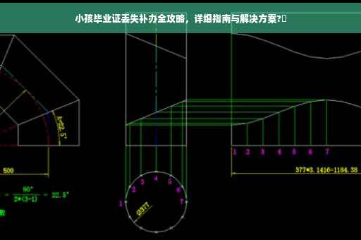 小孩毕业证丢失补办全攻略，详细指南与解决方案?✨