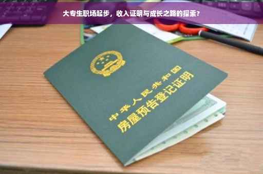 大专生职场起步，收入证明与成长之路的探索?