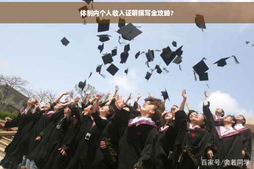 体制内个人收入证明撰写全攻略?