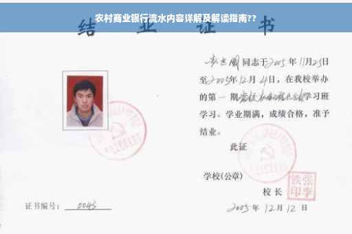 农村商业银行流水内容详解及解读指南??