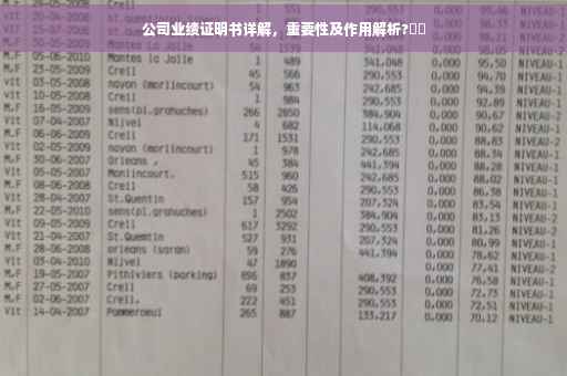 公司业绩证明书详解，重要性及作用解析?⚡️