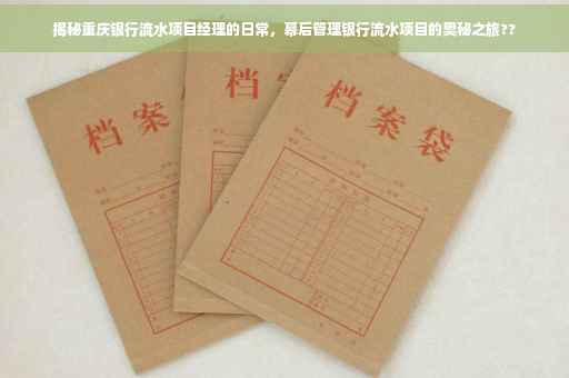 揭秘重庆银行流水项目经理的日常，幕后管理银行流水项目的奥秘之旅??