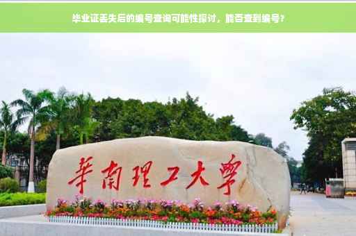 毕业证丢失后的编号查询可能性探讨，能否查到编号？