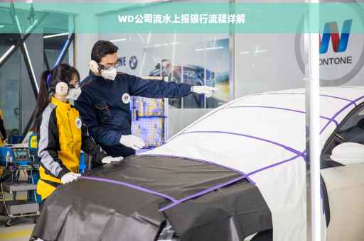 WD公司流水上报银行流程详解