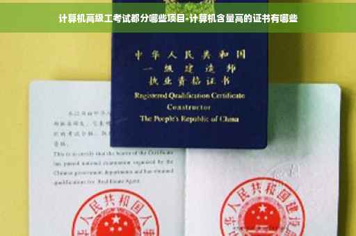 计算机高级工考试都分哪些项目-计算机含量高的证书有哪些