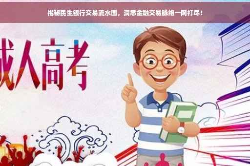 揭秘民生银行交易流水图，洞悉金融交易脉络一网打尽！
