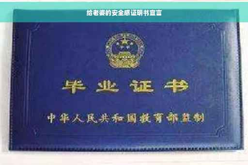 给老婆的安全感证明书宣言