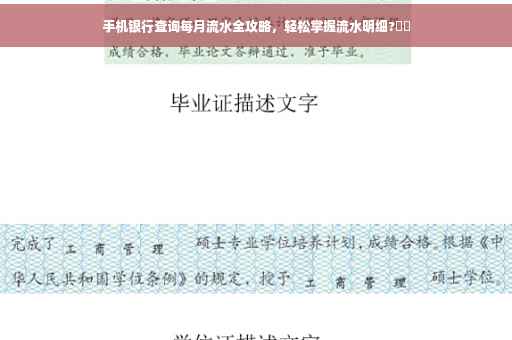 手机银行查询每月流水全攻略，轻松掌握流水明细?⚡️