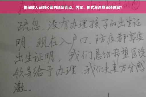 揭秘收入证明公司的填写要点，内容、格式与注意事项详解?