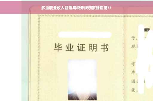 多重职业收入管理与税务规划策略指南??