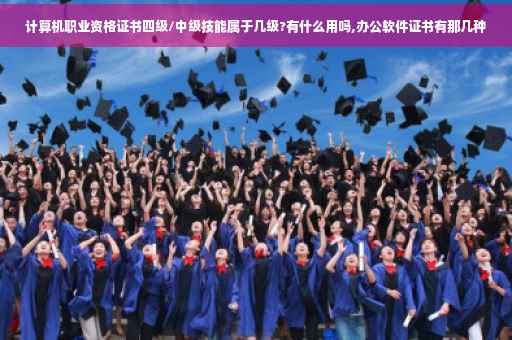 计算机职业资格证书四级/中级技能属于几级?有什么用吗,办公软件证书有那几种