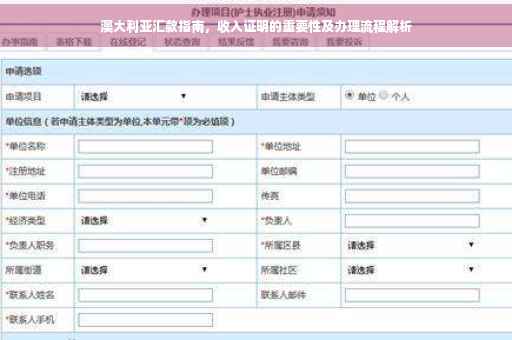 澳大利亚汇款指南，收入证明的重要性及办理流程解析