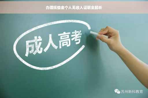 办理抚恤金个人无收入证明全解析
