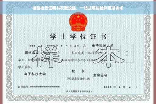 核酸检测证明书获取攻略，一站式解决检测证明需求